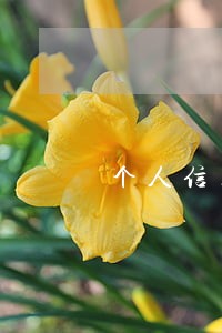 个人信用报告中的逾期信息汇总 个人信用报告中的逾期信息汇总