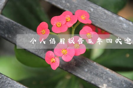 个人信用报告五年四次逾期 个人信用报告五年四次逾期