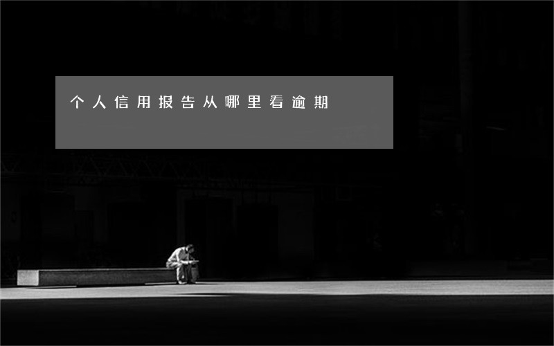 个人信用报告从哪里看逾期
