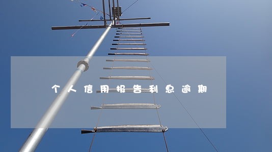 个人信用报告利息逾期