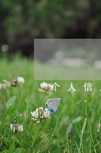 个人信用报告单如何算逾期次数 个人信用报告单如何算逾期次数