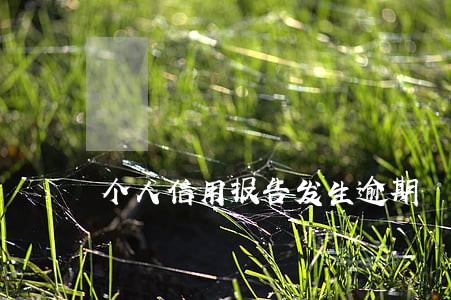 个人信用报告发生逾期 个人信用报告发生逾期