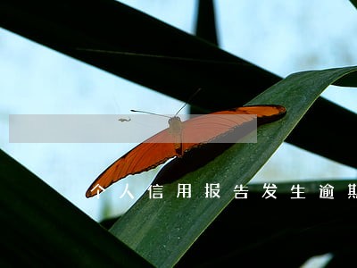 个人信用报告发生逾期一次 个人信用报告发生逾期一次