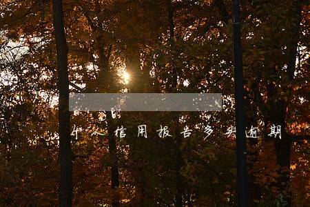个人信用报告多头逾期