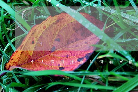 个人信用报告如何看当前逾期 个人信用报告如何看当前逾期