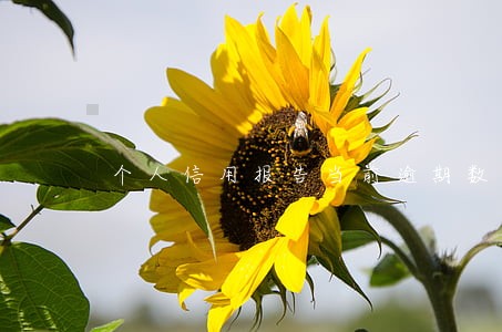 个人信用报告当前逾期数 个人信用报告当前逾期数