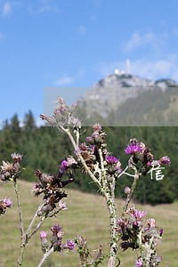 个人信用报告当月有逾期 个人信用报告当月有逾期