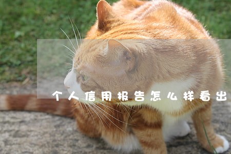 个人信用报告怎么样看出有逾期 个人信用报告怎么样看出有逾期
