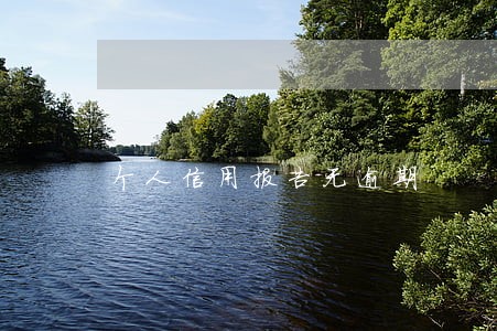 个人信用报告无逾期 个人信用报告无逾期