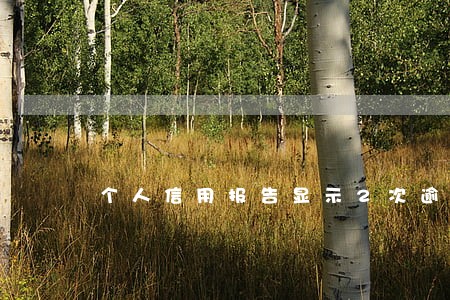 个人信用报告显示2次逾期 个人信用报告显示2次逾期