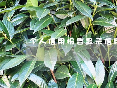 个人信用报告显示信用卡一次逾期 个人信用报告显示信用卡一次逾期