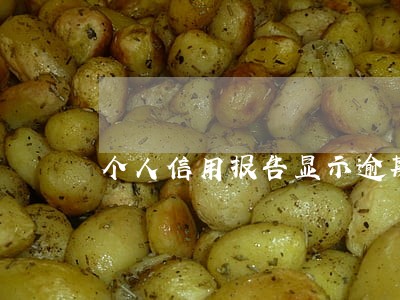 个人信用报告显示逾期模板 个人信用报告显示逾期模板