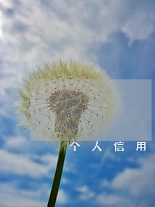 个人信用报告最近五年有两次逾期 个人信用报告最近五年有两次逾期