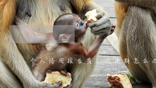 个人信用报告有2次逾期怎么办 个人信用报告有2次逾期怎么办