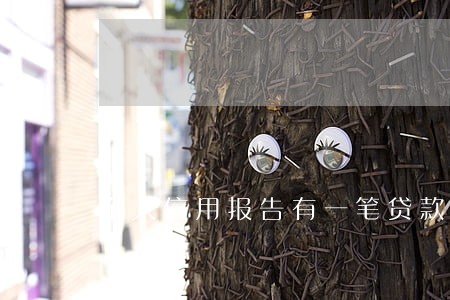 个人信用报告有一笔贷款逾期 个人信用报告有一笔贷款逾期