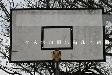 个人信用报告有几个逾期一个月 个人信用报告有几个逾期一个月