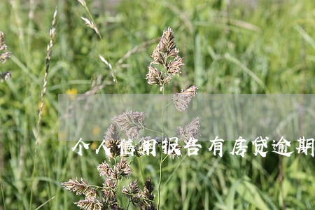 个人信用报告有房贷逾期 个人信用报告有房贷逾期