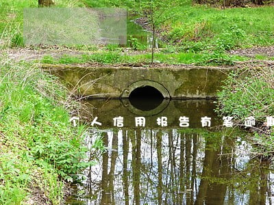 个人信用报告有笔逾期怎么办