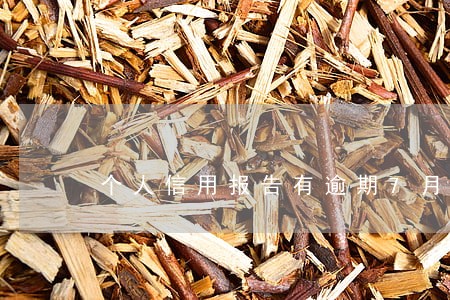 个人信用报告有逾期7月