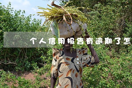 个人信用报告有逾期了怎么办 个人信用报告有逾期了怎么办