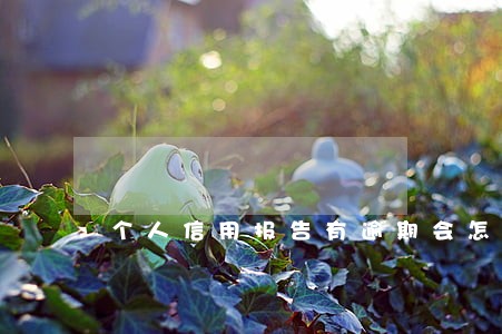 个人信用报告有逾期会怎样 个人信用报告有逾期会怎样