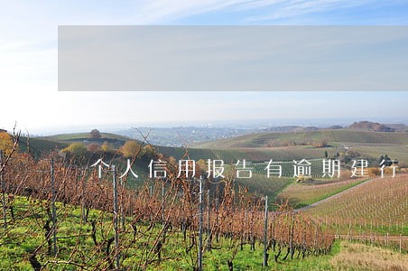 个人信用报告有逾期建行贷款