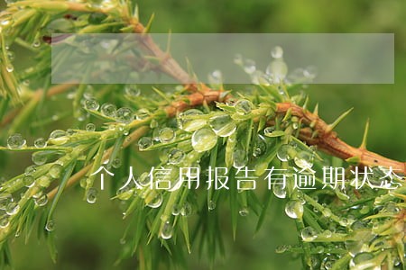 个人信用报告有逾期状态但没有90天 个人信用报告有逾期状态但没有90天