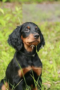 个人信用报告有逾期能货款么 个人信用报告有逾期能货款么