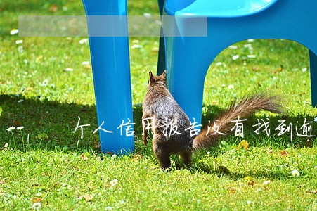 个人信用报告没有找到逾期的明细 个人信用报告没有找到逾期的明细
