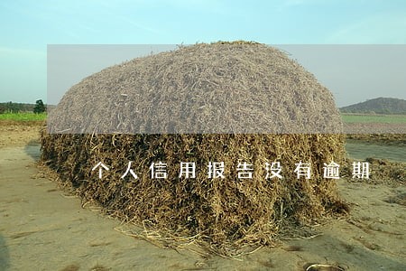 个人信用报告没有逾期 个人信用报告没有逾期