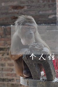 个人信用报告没有逾期多久会清零 个人信用报告没有逾期多久会清零