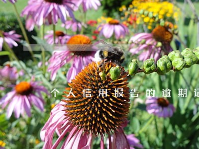 个人信用报告的逾期记录在哪里 个人信用报告的逾期记录在哪里