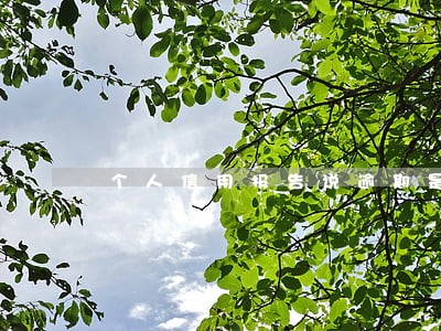 个人信用报告说逾期是什么意思