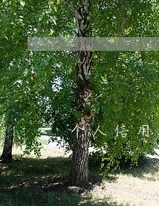 个人信用报告贷款有逾期 个人信用报告贷款有逾期
