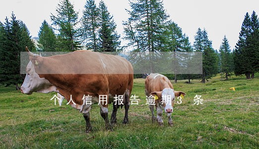 个人信用报告逾期3条 个人信用报告逾期3条