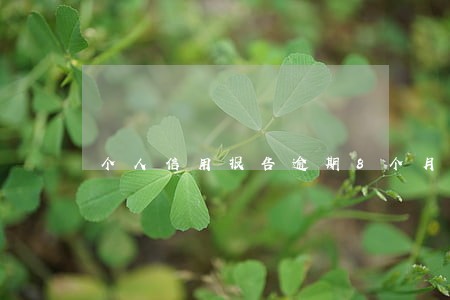 个人信用报告逾期8个月 个人信用报告逾期8个月