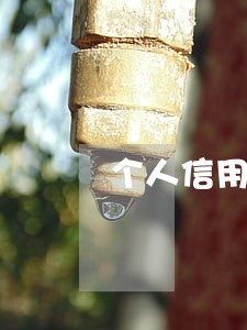 个人信用报告逾期9个月 个人信用报告逾期9个月