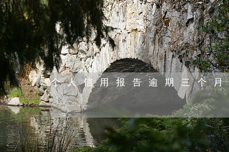 个人信用报告逾期三个月 个人信用报告逾期三个月