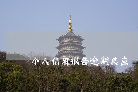 个人信用报告逾期反应 个人信用报告逾期反应