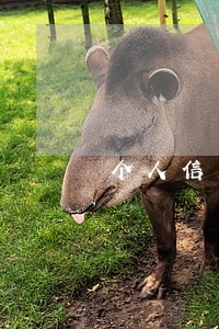 个人信用报告逾期图是什么样的 个人信用报告逾期图是什么样的