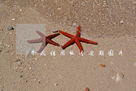 个人信用报告逾期图片 个人信用报告逾期图片