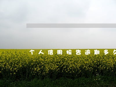 个人信用报告逾期多久会被收回 个人信用报告逾期多久会被收回