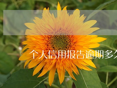 个人信用报告逾期多久消除