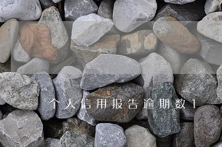 个人信用报告逾期数1 个人信用报告逾期数1