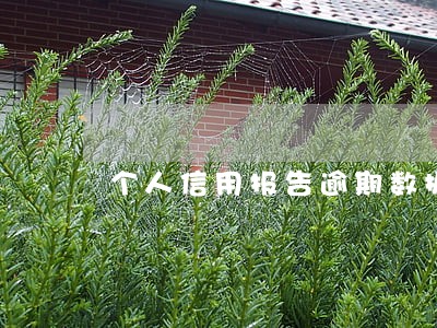 个人信用报告逾期数据 个人信用报告逾期数据
