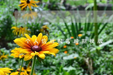 个人信用报告逾期模版