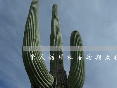 个人信用报告逾期次数多 个人信用报告逾期次数多