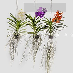 个人信用报告逾期被冻结 个人信用报告逾期被冻结
