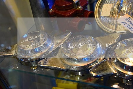 个人信用报告逾期账户 个人信用报告逾期账户