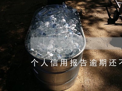 个人信用报告逾期还不起怎么办 个人信用报告逾期还不起怎么办